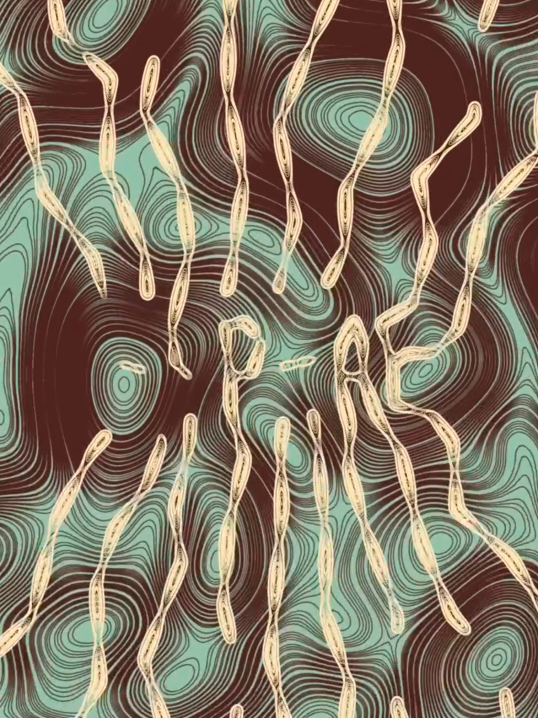 Hyphae Vol. 5